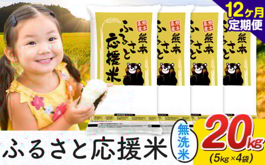 【12ヶ月定期便】米 無洗米 家庭用 熊本 ふるさと応援 定期便 米  20kg《お申込み翌月から出荷》 熊本県産 精米 山江村 ブレンド米 国産 おうちご飯 予約 返礼品 発送 配送 SDGs わけあり むせんまい お米 おこめ