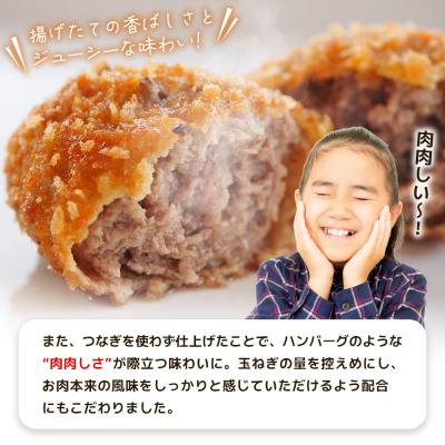 ふるさと納税 西予市 <はなが牛を使用した合挽メンチカツ 計6個> オリジナル おつまみ 手作り 肉肉しい |  | 03