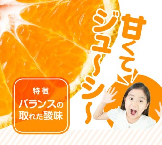 S086-007A_訳あり 不知火 約 10kg 数量限定〈先行予約〉
