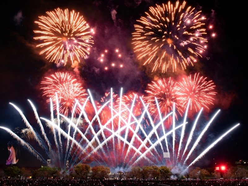 
            第3回 万博夜空がアートになる日　花火鑑賞チケット　パノラマシート[子供]（大阪北摂エリアの共通返礼品）
          