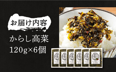 からし高菜120g×6個《豊前市》【株式会社瑞穂】[VBG004] 漬物セット