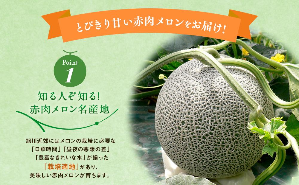 【先行予約】旭川発！北海道の赤肉メロン8kg（4～6玉）(2024年6月下旬より発送開始予定)_01103