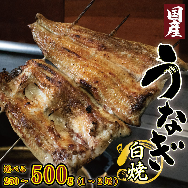 
                  うなぎ 国産 白焼き 1尾 250g / 2尾 500g 高知県産あら塩付き 選べる容量 冷凍 炭火焼き 鰻 ウナギ 国産うなぎ 白焼 鰻白焼き 塩 あら塩 粗塩 セット 魚 魚介 惣菜 ギフト 贈り物 贈答 土用の丑 和食 日本料理 冷凍 徳島県 吉野川市
                