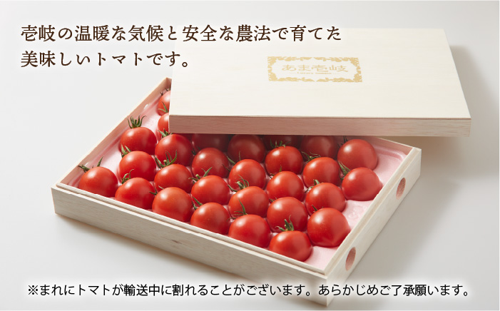 トマト ミディトマト 約1kg 30粒 高級贈答用「あま壱岐」（桐箱小） 《壱岐市》【壱岐の潮風】[JAE003] 野菜 ギフト プレゼント 贈り物 化粧箱 13000 13000円
