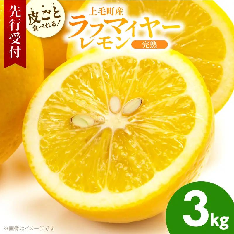 【先行受付】 上毛町産ラフマイヤーレモン 3kg （完熟レモン） _OF0708