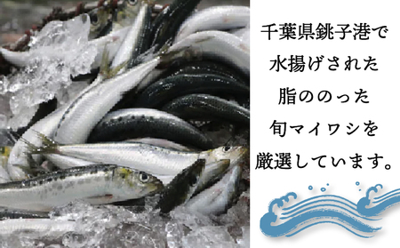 ミニとろイワシ味付　12缶◇ | いわし 鰯 缶詰 おつまみ 100g ※北海道・沖縄・離島への配送不可 ※着日指定不可