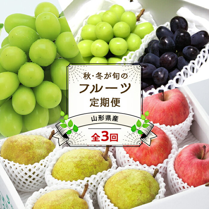 【ふるさと納税】 【令和8年産先行予約】 《定期便3回》 JA 秋冬フルーツ定期便 『JA山形おきたま』 山形県 南陽市 [1493]
