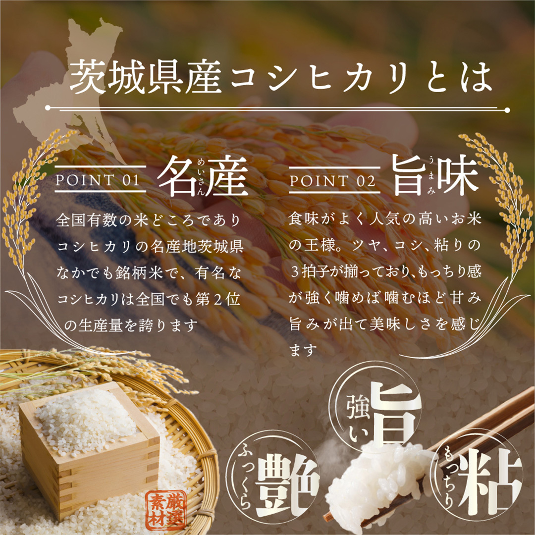 【 最短 翌日発送 】令和7年産 茨城県産 コシヒカリ 3kg ( 3kg ×1袋) 五つ星 お米マイスター 監修 こしひかり 国産 こめ コメ 米 精米 すぐ発送 人気 美味しい ランキング ふるさ