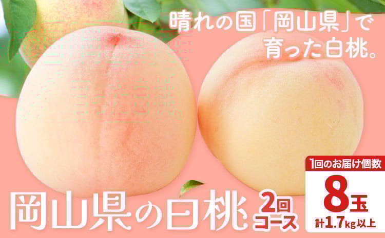 
                  【先行予約】岡山の白桃2回コース 8玉 (1.7kg以上) 株式会社山博 (中本青果)《2026年7月上旬から8月上旬頃出荷》岡山県 浅口市 桃 もも フルーツ 送料無料 冷蔵 定期便【配送不可地域あり】
                