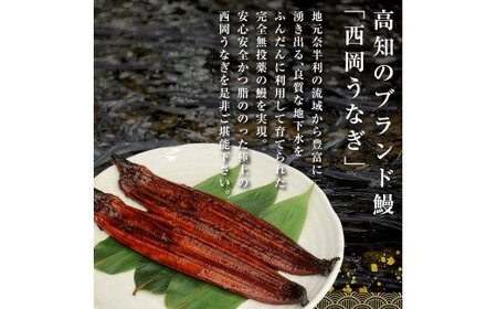 緊急支援 人気惣菜 本気の高知ブランド鰻「西岡うなぎ」～上（大サイズ）～うなぎの蒲焼き2尾セット（約330g）タレ・山椒付き｜ウナギ 国産 特産品 高知県産 土佐 食べて応援 蒲焼 焼きたて 丼 うな
