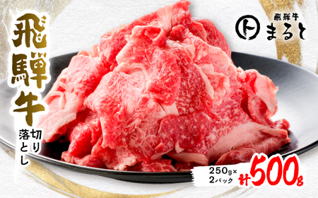 【飛騨牛】　切り落とし　500g入り(250g×2)【配送不可地域：離島】【1418309】