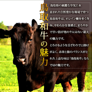 A5ランク 鳥取和牛焼肉食べ比べ 厳選部位4種類 合計400g 牛肉 精肉 肉 カタセイ 上カルビ 食べ比べセット サーロイン 肩ロース ランプ 牛モモ 三角バラ 特上カルビ カルビ 和牛 高級肉 お