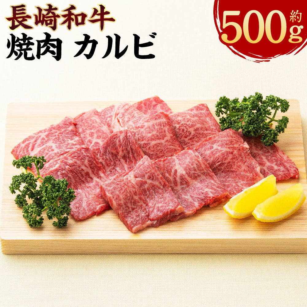 【ふるさと納税】長崎和牛 焼肉 カルビ 約500g（2~3人前） 和牛 牛肉 お肉 BBQ バーベキュー ギフト 贈答 お中元 お歳暮 冷凍 長崎県産 国産 九州 長崎県 長崎市 送料無料