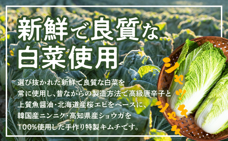 定期便 白菜キムチ 1kg × 6回【毎月配送コース 高評価 人気 惣菜 きむち 漬物 韓国グルメ おつまみ 家計応援 お楽しみ 福袋 大阪 泉佐野 大阪府 泉佐野市】