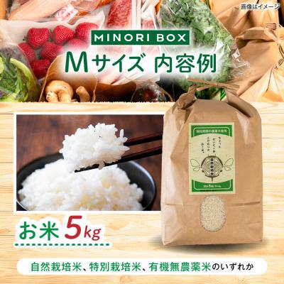 ふるさと納税 糸島市 全6回定期便 糸島産 肉 米 野菜 果物 厳選詰め合わせ MINORI BOX M [AOP013] |  | 01