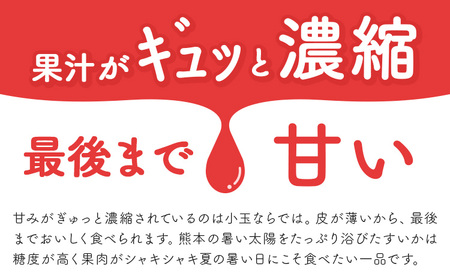 【先行予約】スイカ 訳あり 小玉すいか 2玉 約 2kg ～ 3kg M ～ 3L 混合 株式会社Foody’s 食彩たかみ 《2027年5月下旬-7月下旬頃出荷》 熊本県 菊池市 フルーツ 果物 ス