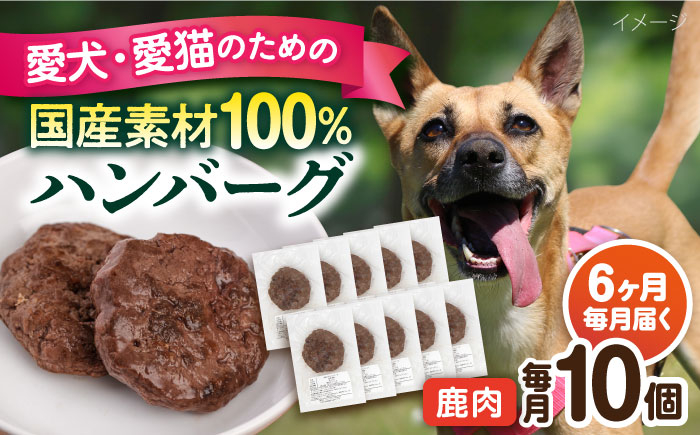 
【全6回定期便】ペットフード 鹿肉 100%ハンバーグ 10個セット ペット 犬 猫 手作り 国産 てづくり こだわり ドッグフード 横須賀 【ペットフードYM japan】 [AKEX012]
