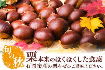【 2026年 先行予約 】 生栗 1kg くり 栗 有機 肥料 栽培 国産 果物 くだもの 和栗 フルーツ 1キロ 9月 発送 秋 旬 品種 茨城県産 産地直送 産直 農家直送 冷蔵 茨城県 石岡市
