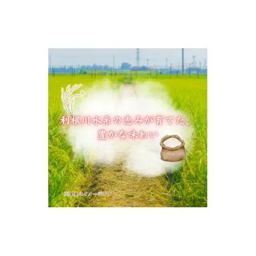 利根町産コシヒカリ　精米5kg ／ 米 こめ コメ お米 おこめ コシヒカリ こしひかり 令和7年産 白米 精米 ご飯 ごはん 10kg 送料無料