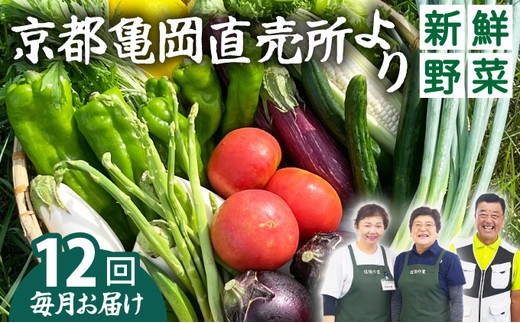 
                  【12回定期便】野菜 定期便 7~10種類 野菜セット 旬の野菜【佐伯の里】詰め合わせ 訳あり 野菜定期便 季節 旬 やさい 国産 国産野菜 新鮮 おまかせ 産地直送 春野菜 夏野菜 秋野菜 冬野菜 葉物 果菜 根菜 京都府産 亀岡市産 京丹波町産 季節の野菜 九条ネギ なす しいたけ 万願寺とうがらし サラダ 水菜 聖護院大根 野菜詰め合わせセット 野菜詰め合わせ 12ヶ月 12か月 12カ月 
                