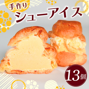 【乳化剤不使用】シューアイス 13個 手作り アイス