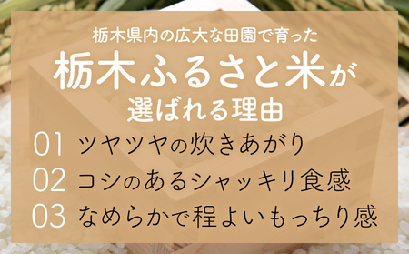 栃木ふるさと米 白米 20kg《7-14日以内に出荷予定(土日祝除く)》おこめ【栃木県共通返礼品】