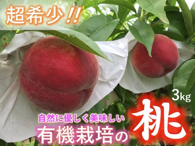 ＜2026年発送先行予約＞【有機栽培の美味しい桃約3kg 7月後半発送】自然に優しく希少でジューシーな天然桃(8～11個入)！ ALPEF014