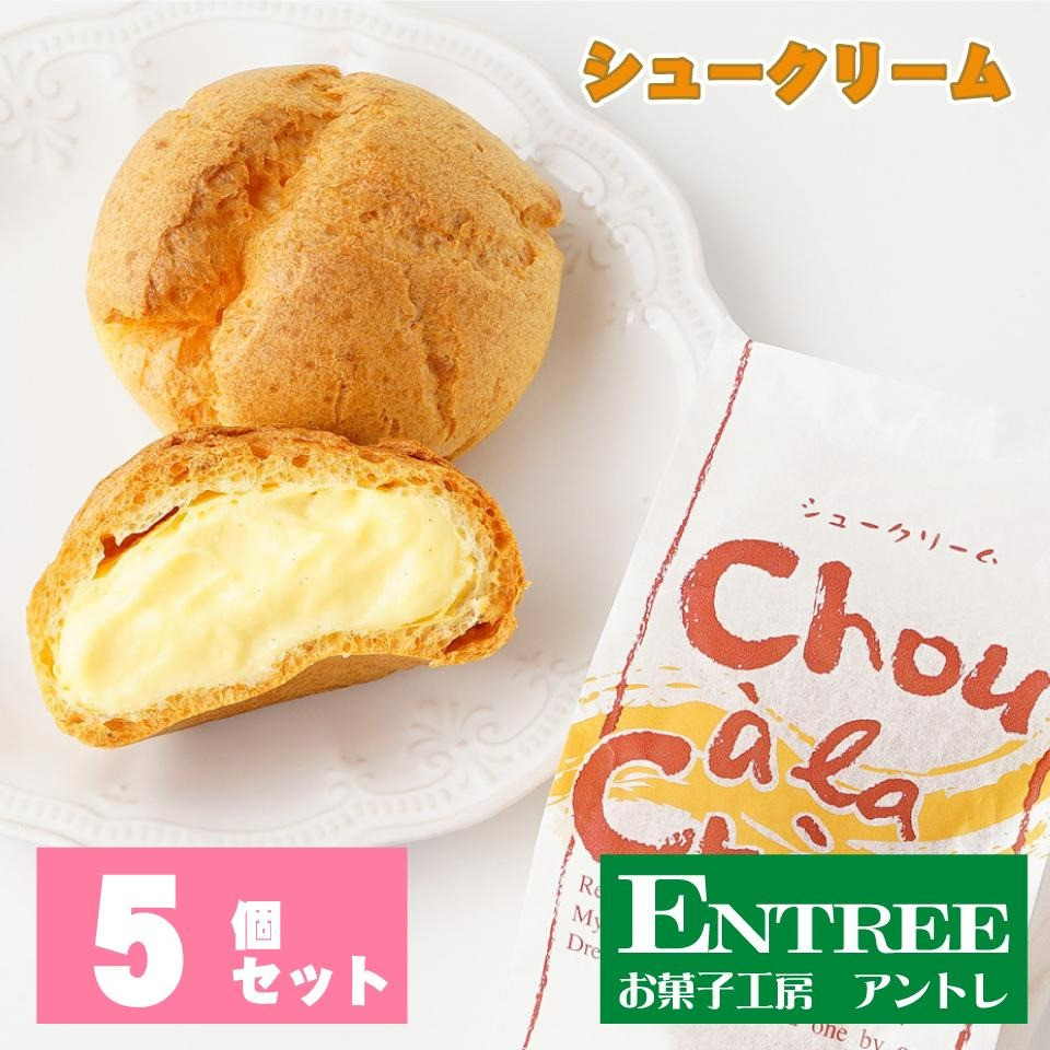 
シュークリーム5個セット【074D-026】
