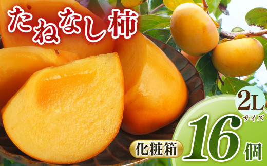 【化粧箱】たねなし あわせ柿 2Lサイズ 16個入 | フルーツ くだもの 果物 柿 かき カキ 富有柿 フユウガキ ふゆうがき 奈良県 五條市 スイーツ おやつ お菓子 手土産 お土産  産地任せ 旬の柿 産地直送 国産 ご家庭用 ご自宅用 敬老の日 ギフト プレゼント 種なし