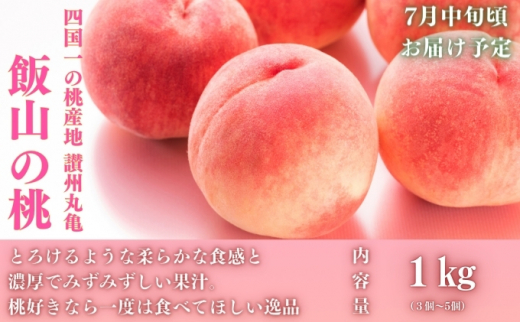 【全3回】フルーツ定期便「丸亀市夏のいいとこどり定期便」～少人数でも楽しみやすい食べきり版～/シャインマスカット 桃 ピオーネ  定期配送 頒布会 果実 果物