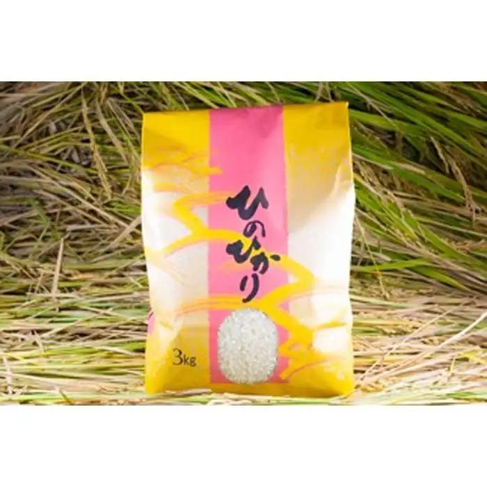 2025年秋収穫分 福岡県大川市産ヒノヒカリ 3kg【ギフト包装】