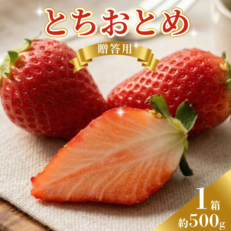 【ふるさと納税】 先行予約 いちご とちおとめ（ 500g ） レシピ レシピ付 萩谷園芸 銚子産 苺 イチゴ ビタミンC 葉酸 食物繊維 デザート ミルフィーユ フルーツ ヨーグルト スムージー 千葉県 銚子市
