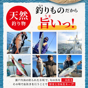 天然 はまち刺身 約900g ハマチ 冷凍