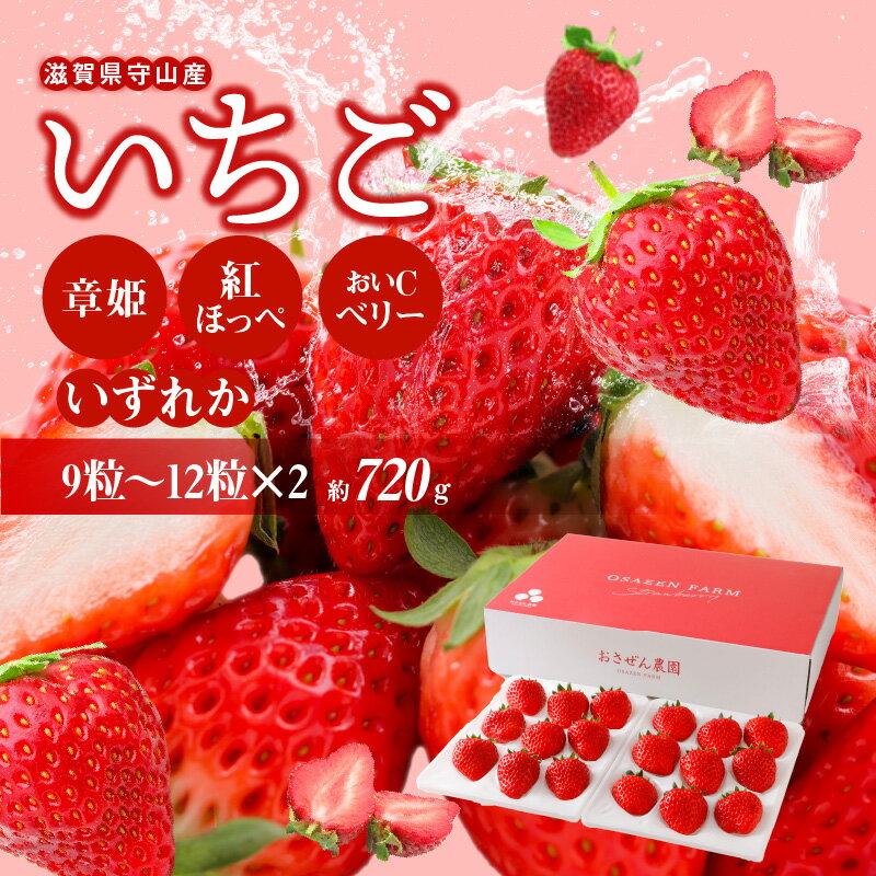 【ふるさと納税】【2026年2月からお届け】いちご 守山産 2ホール 9粒 ～ 12粒×2 約 720g 章姫 紅ほっぺ おいCベリー 人気の品種 やわらかい 甘い 濃厚 ずっしり丸い 酸味 おいしい フルーツ 果物 お取り寄せ お取り寄せフルーツ 送料無料