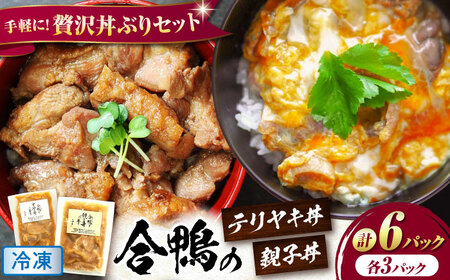 【冷凍】合鴨親子丼の素・合鴨テリヤキ丼の素 各3 計6パックセット　滋賀県長浜市/株式会社 一湖房[AQCB019]