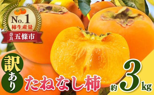たねなし柿 わけあり！約3㎏ | たねなし 柿 かき フルーツ 果物 おすすめ カキ 秋の味覚 旬 甘い 大容量 農家直送 産地直送 グルメ 食物繊維 豊富 美容 健康 家庭用 西吉野 奈良県 五條市