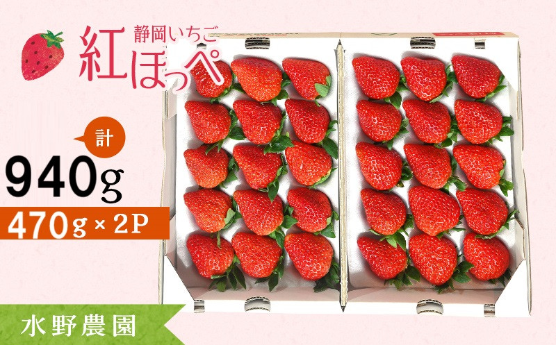 
            ６２８６　掛川産いちご 紅ほっぺ  470g×2P  計940ｇ (12～15粒入×２P)  令和7年3月頃から順次発送 水野農園  ( 静岡 イチゴ 苺 いちご 紅ほっぺ べにほっぺ 人気 甘い 4月発送  掛川市 ）
          