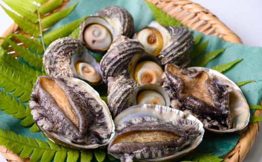 あわび＆さざえ セット（あわび 3枚 約210g、さざえ 3～6コ 約380g）〈上保商店〉魚介類 BBQ食材 [US02]