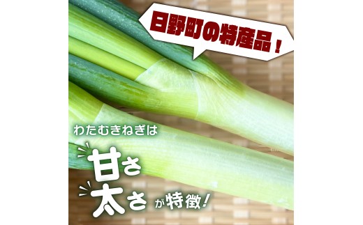 【先行予約】 【期間限定】 日野町産 わたむきねぎ 8kg 40本 トマトファクトリー 野菜 ねぎ ネギ 長ネギ 白ネギ 詰め合わせ セット 新鮮 採れたて 太い 季節 甘い 糖度 高糖度 あまい 食材 旬  栽培 産地直送 農家直送 農家応援 滋賀県 日野町 ふるさと納税 送料無料