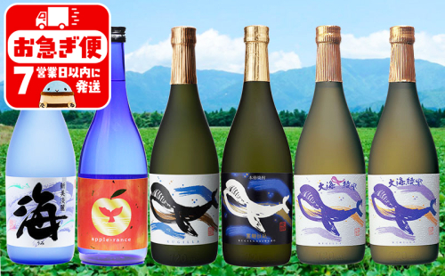 D4-25115／大海酒造こだわり焼酎 720ml 6本セット