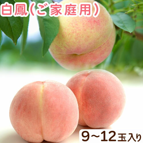 【ふるさと納税】和歌山県紀の川市産 白鳳(ご家庭用) 9-12玉入り 桃 モモ もも 株式会社松源《2026年6月下旬-7月中旬頃出荷》和歌山県 紀の川市