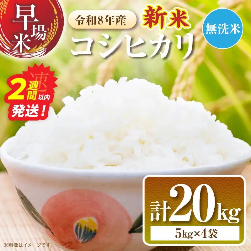 2週間以内に発送 無洗米 令和8年産 新米 コシヒカリ 20kg お米 ご飯 ライス 国産_GC4-26