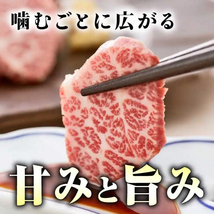 【3回定期便】プレミアム三角バラ 馬刺し 約100g お肉 馬肉 国産 熊本県 特産品 ヘルシー【株式会社  利他フーズ】[ZBK010]