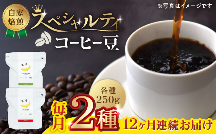 
                  【12回定期便】【豆のまま】自家焙煎 スペシャルティコーヒー 豆 （ 250g × 2種 ）約40杯分【かきやま果実】珈琲豆  深煎 中煎 コーヒー豆 焙煎 熊本 コーヒー豆定期 おうちカフェ  [ZCJ020]
                
