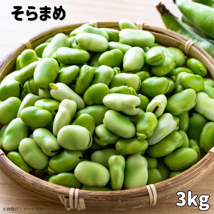【ふるさと納税】文ちゃん農園の天豆（そらまめ）約3kg ／ そら豆 そらまめ ソラマメ 空豆 天豆 豆 産地直送 野菜 3kg 千葉県 送料無料