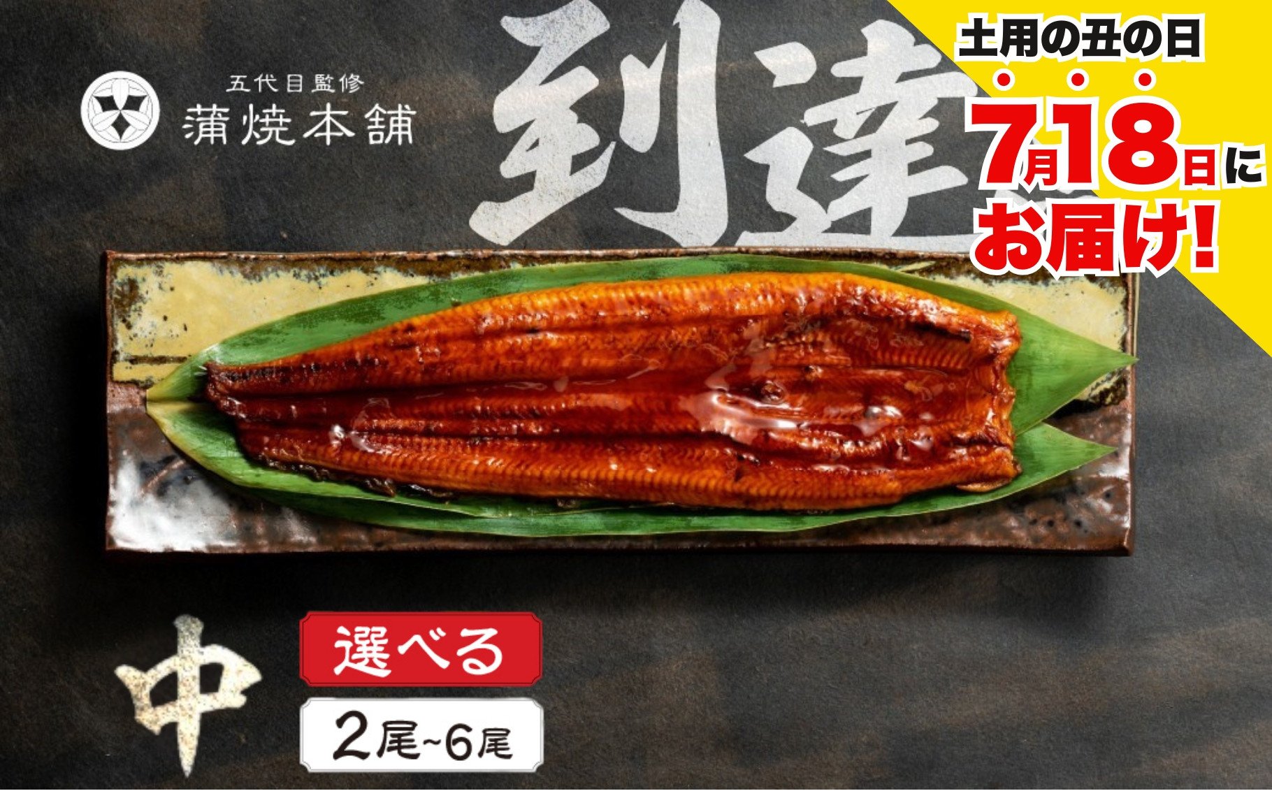 
            ≪土用の丑の日対応≫ ふっくら肉厚！国産うなぎ 蒲焼 中 2尾～10尾 選べる 老舗 国産うなぎ セット 詰め合わせ 蒲焼 ウナギ うなぎ unagi 鰻 2尾 4尾 6尾 8尾 10尾
          