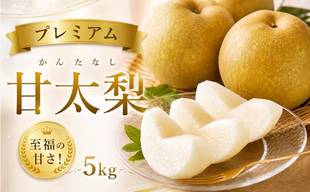 
                  プレミアム甘太梨 5kg
                