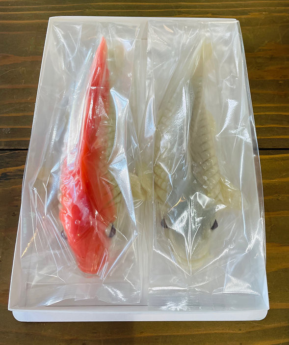 上生菓子 出世鯉（2匹）