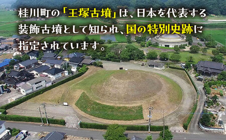 【災害・復興支援】王塚古墳ネックストラップ 2本セット 桂川町/桂川町役場 [ADAO007] ストラップ アクセサリー 古墳 グッズ 雑貨 ギフト 古墳柄