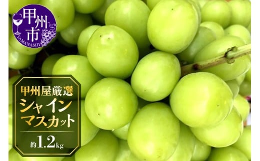 甲州屋厳選 シャインマスカット 約1.2kg 2～3房【2026年発送】B-116 【シャインマスカット 葡萄 ぶどう ブドウ 令和8年発送 期間限定 山梨県産 甲州市 フルーツ 果物】